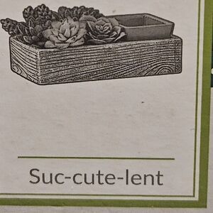 Scentsy Suc-cute-lent Warmer